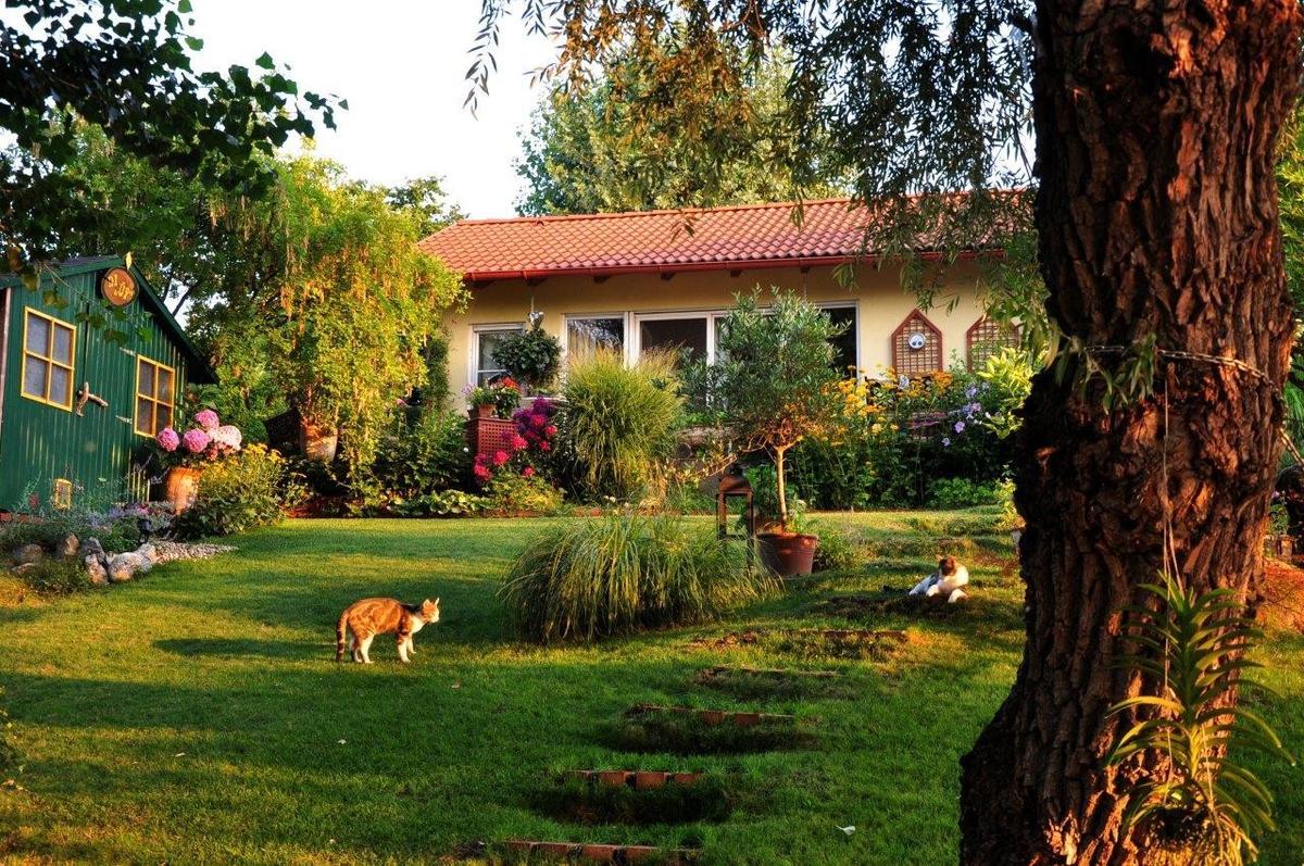 Garten