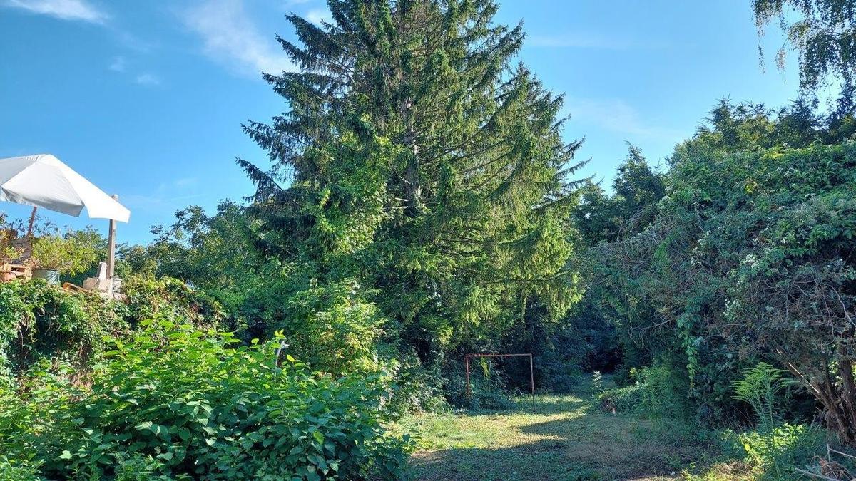 5 Garten mit Schloparkzugang