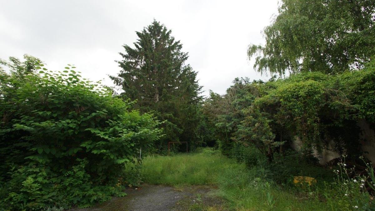 15 Garten privat Sommer
