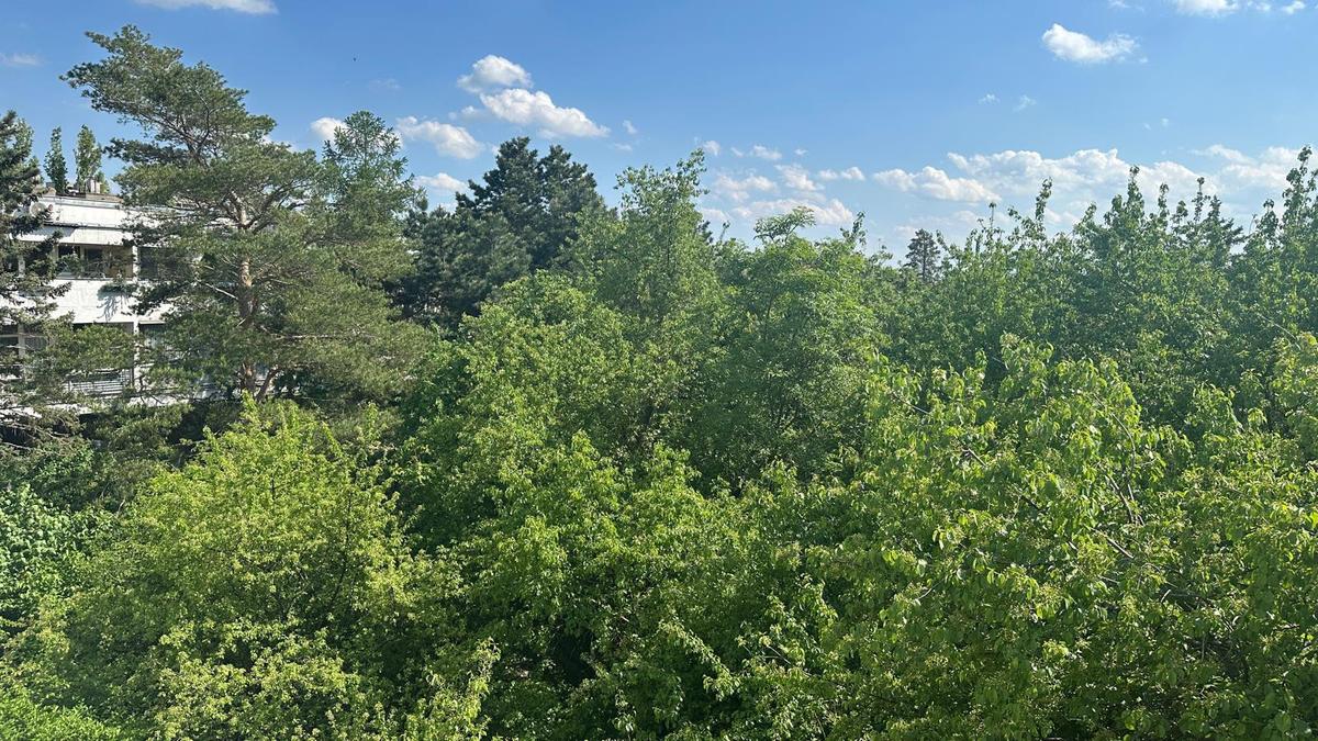 12 Aussicht vom Balkon