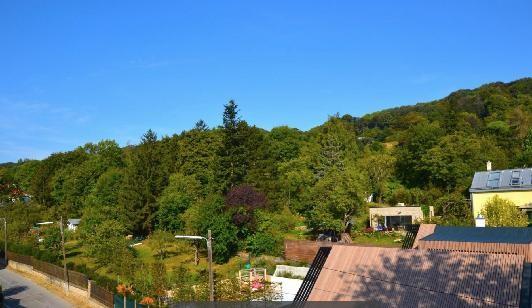 Blick