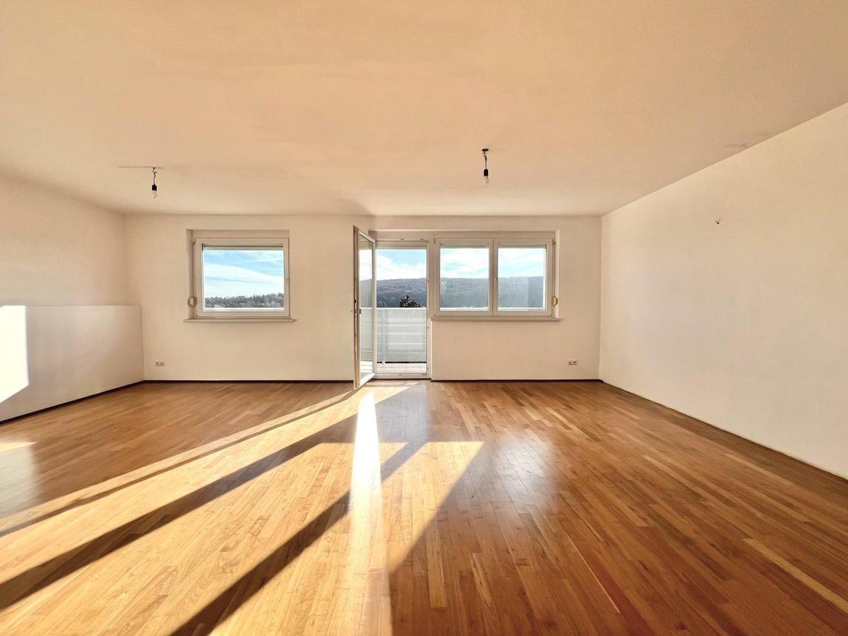 Wohnzimmer 1