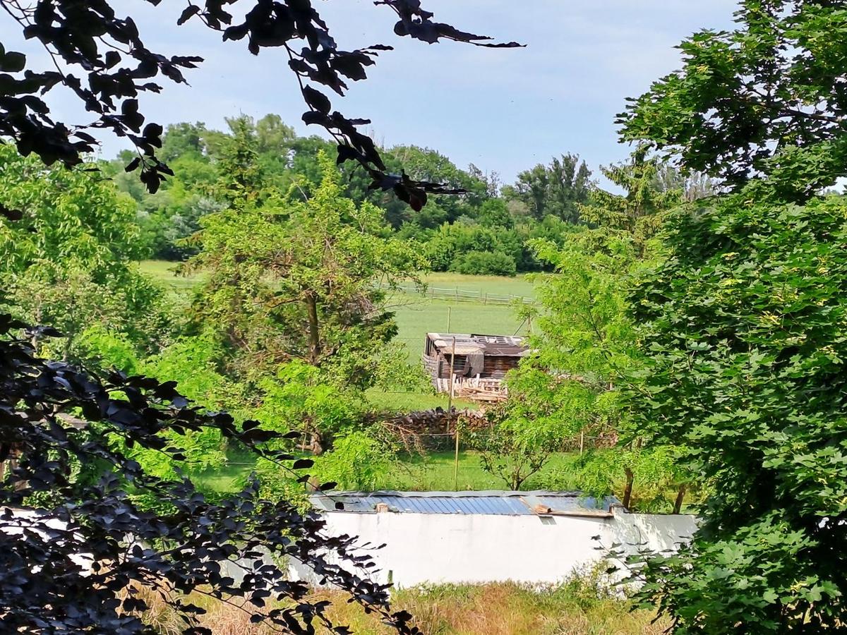 groer ebener Garten mit Pool