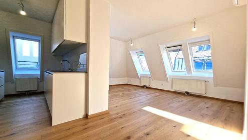 ERSTBEZUG nach Sanierung: 4-Zimmer DG-Terrassenwohnung - Grenze 9.Bezirk - U6 Nähe!!