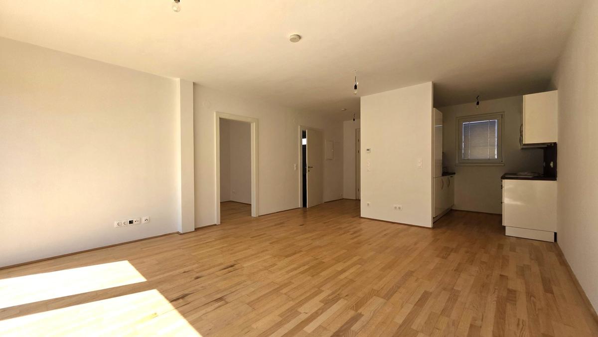 Bild (3)