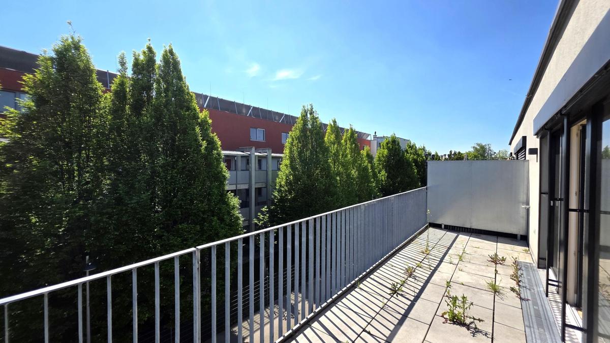 Bild (8)