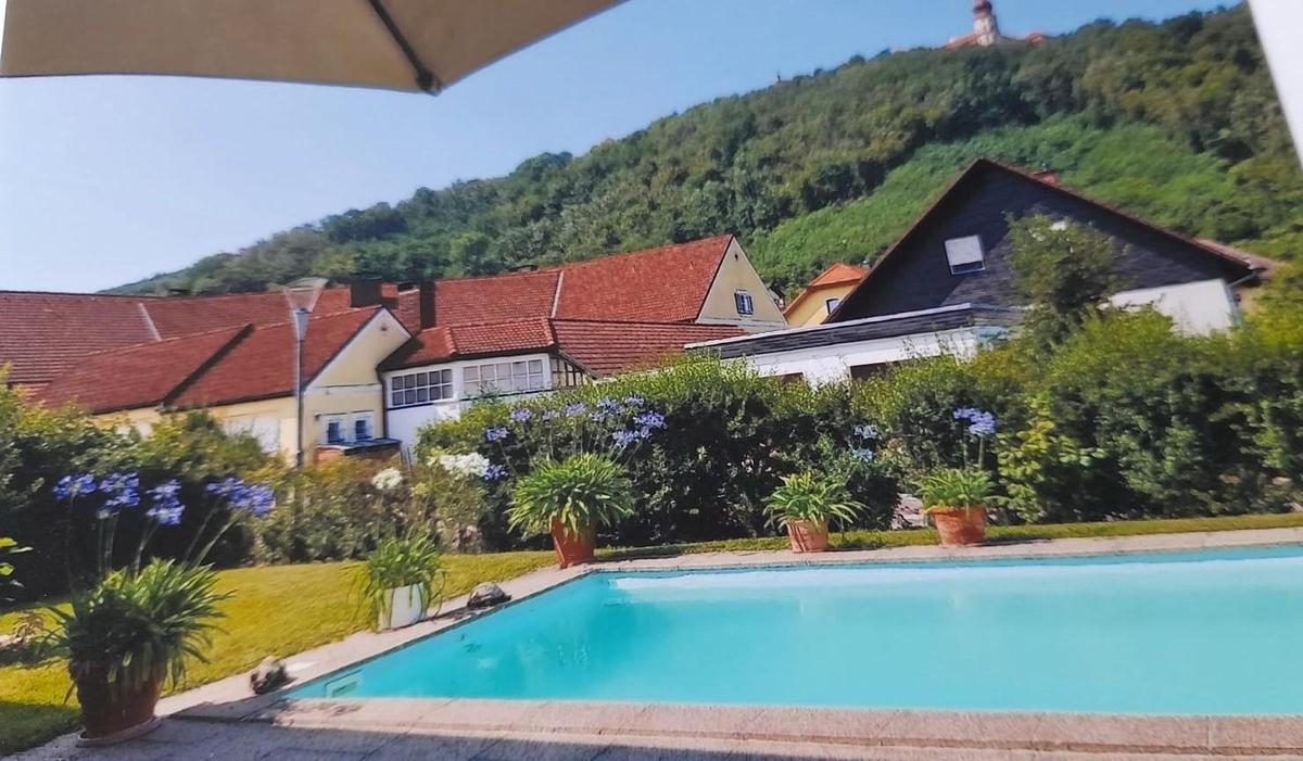 Pool im Sommer mit Ausblick auf Gttweig