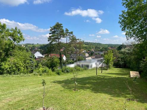 EINZIGARTIGE GELEGENHEIT! BAUERNHOF MIT 9789 m² LANDWIRTSCHAFT & 2421 m² WEINGARTEN! FÜR NATURFREUNDE & TIERLIEBHABER!