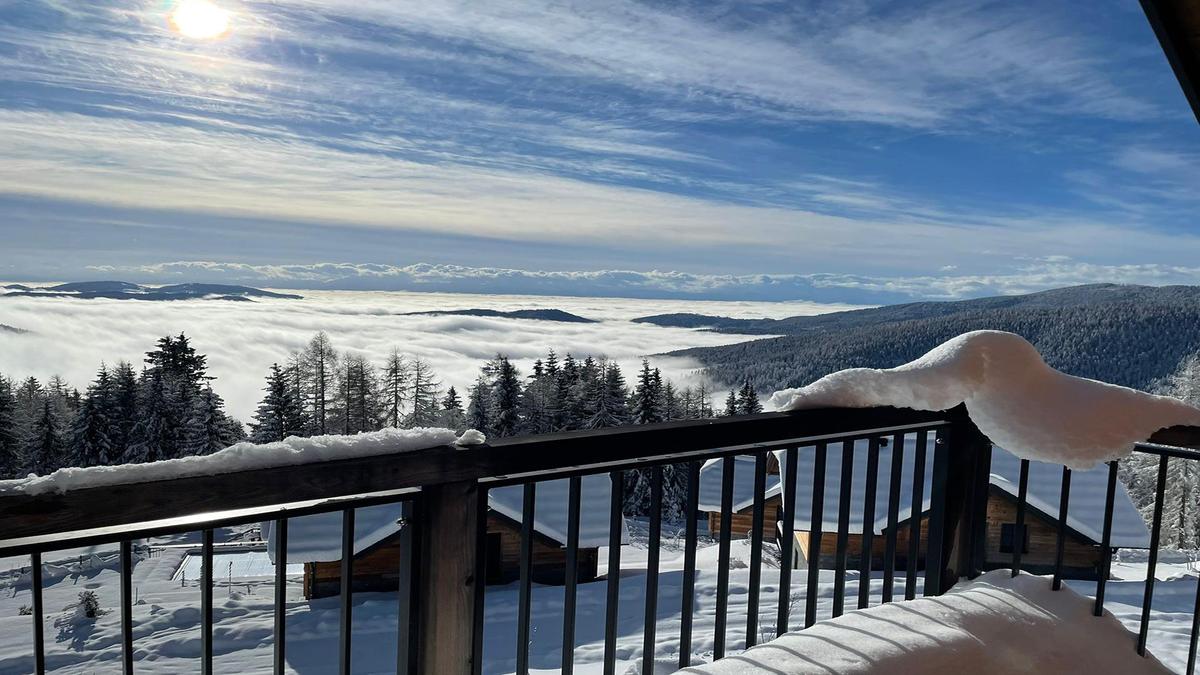 Ausblick