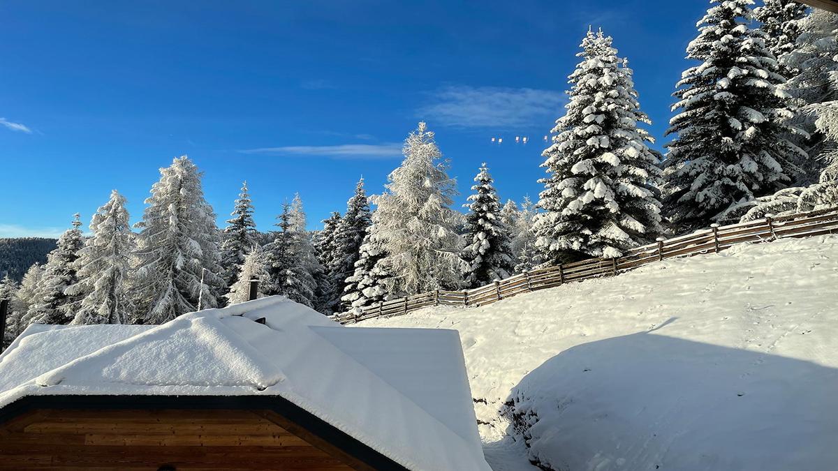 Waldblick