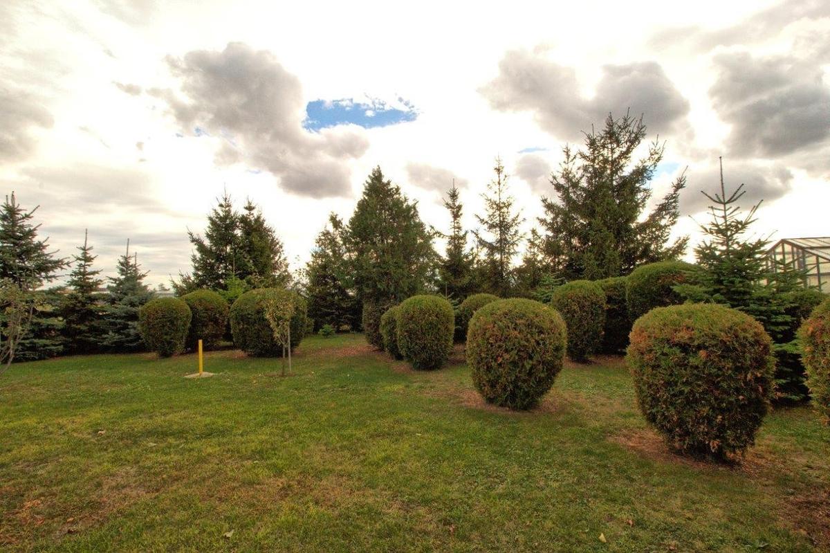 Garten_hinten