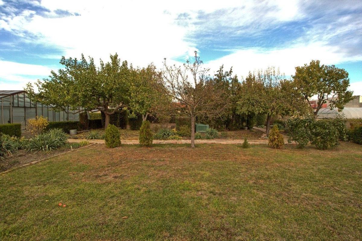 Garten2