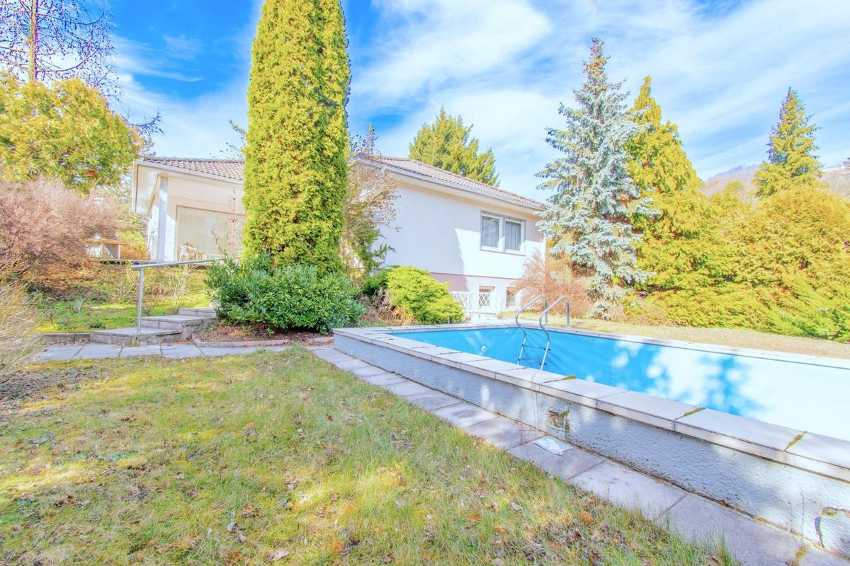 Garten mit Pool