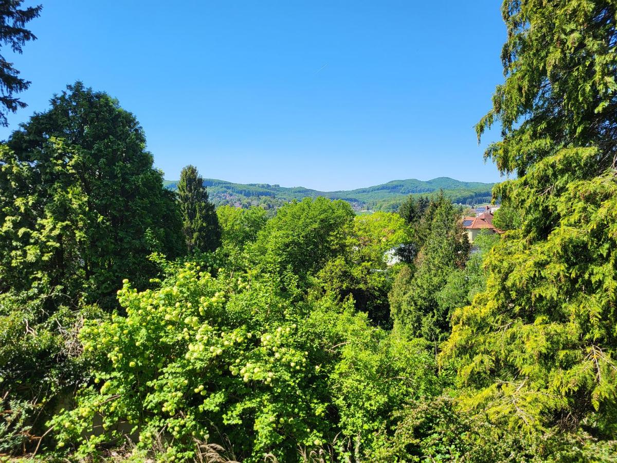 Ausblick Westen