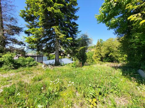 Aehnliche Immobilie - Vorschaubild 2