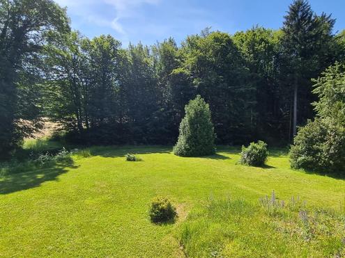 EBENER, SONNIG GELEGENER BAUGRUND AN GRNLANDGRENZE
