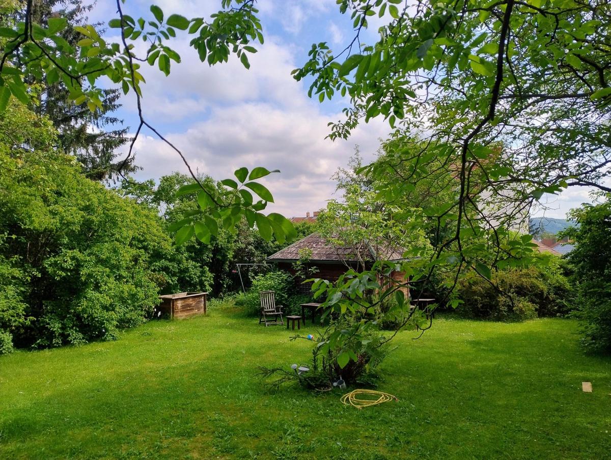 Garten 1