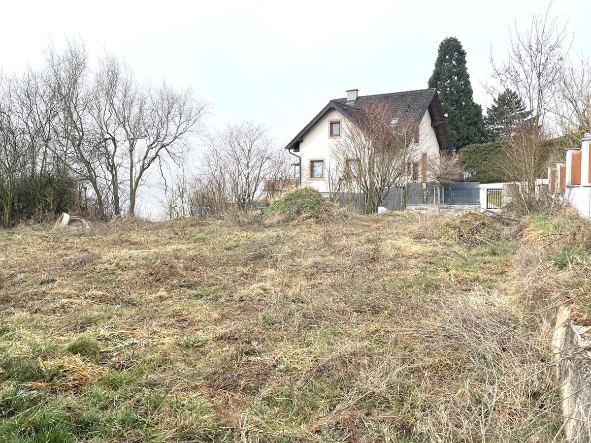 19 GARTEN