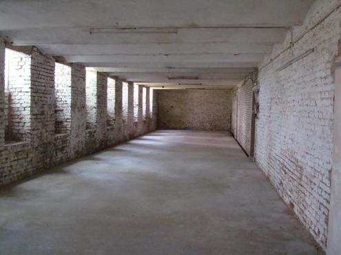 Apostelgasse: Souterrain-Flche mit Tageslicht um weniger als EUR 6 pro m2! Viele Gestaltungsmglichkeiten!