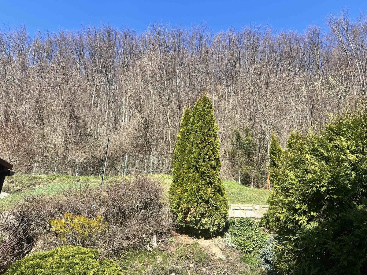 Garten oben