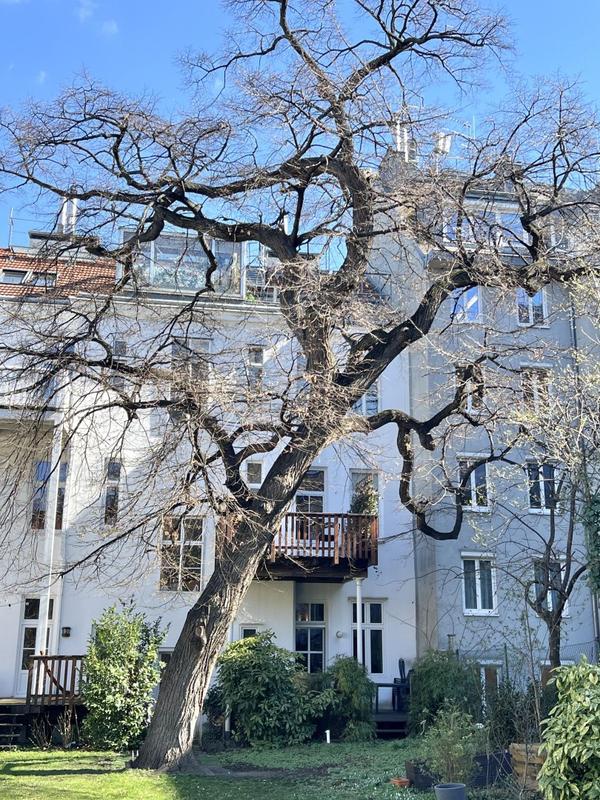 Haus Gartenseite