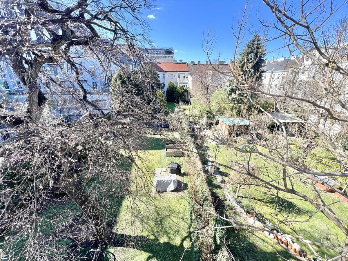 Blick in den Garten