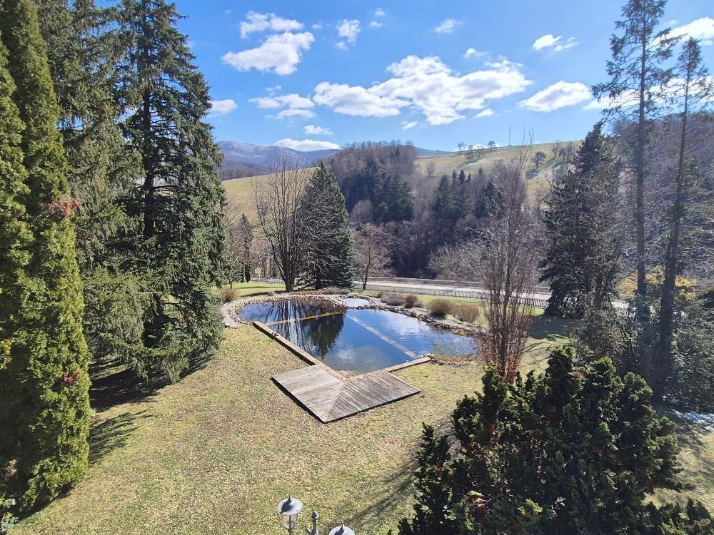 Schwimmteich