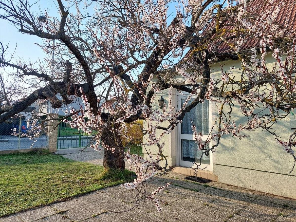 5 Terrasse 1220 Lobau