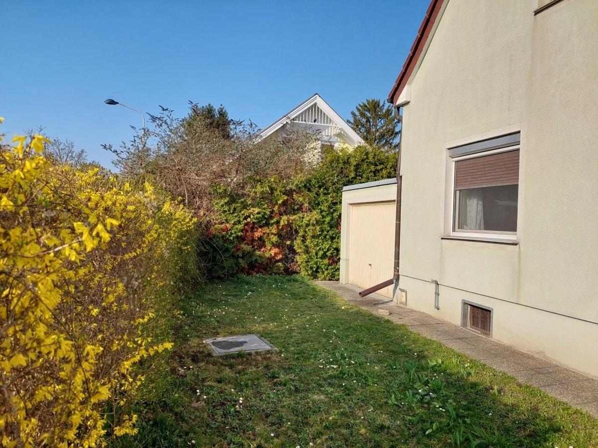 9 Gartenblick