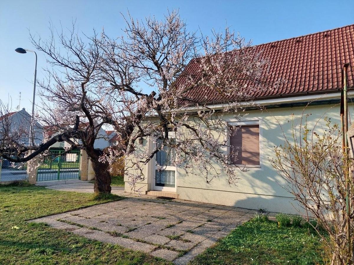 14 Terrasse