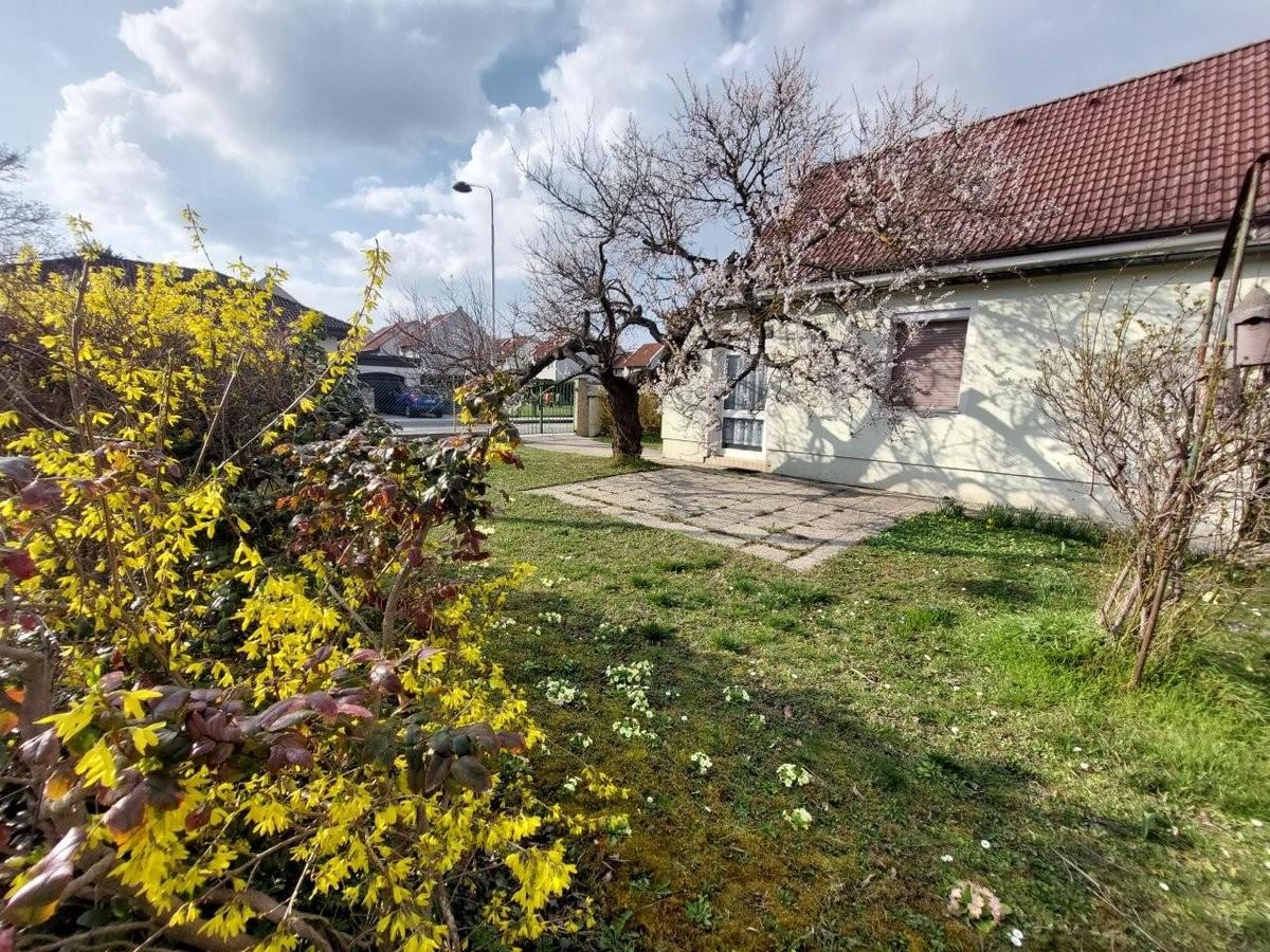 18 Garten mit Terrasse