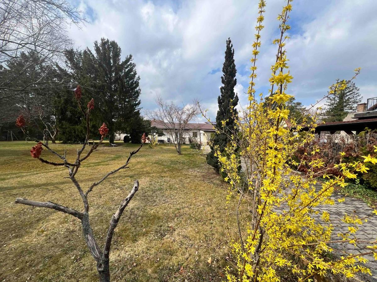 Garten a