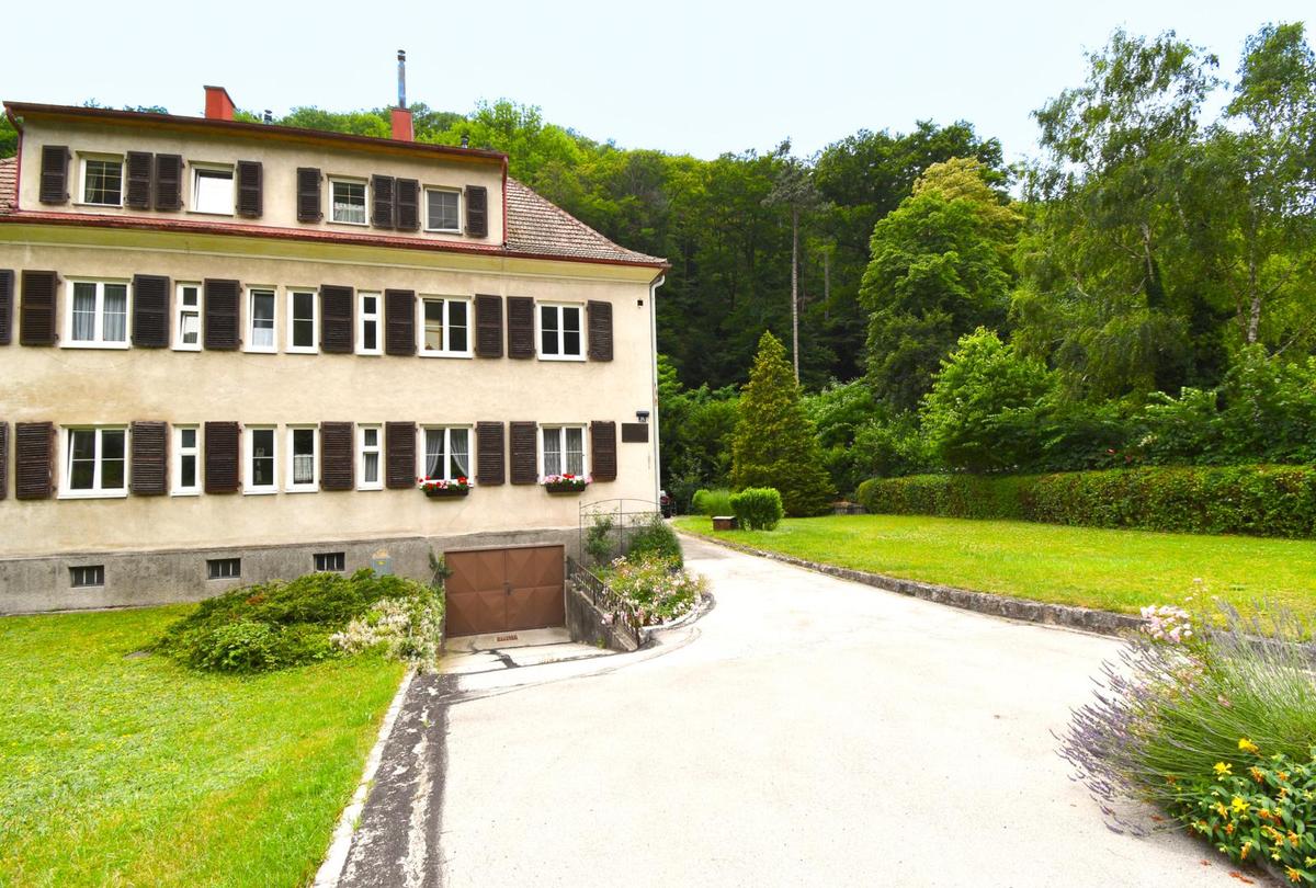 Auenbereich / Einfahrt