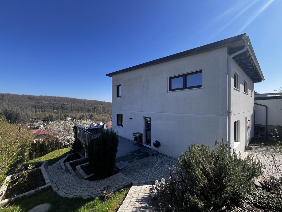 38 Haus - Vorgarten
