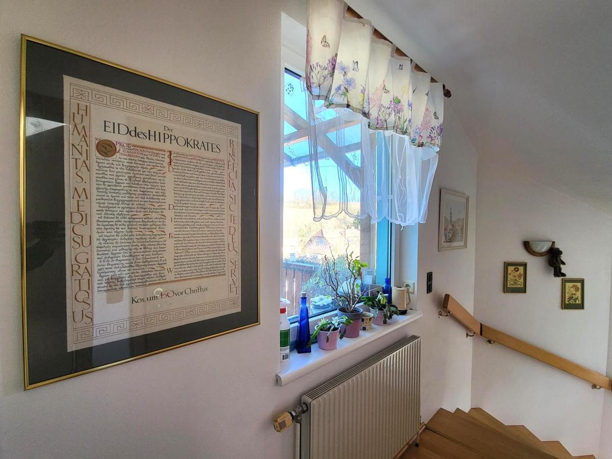 Galerie OG