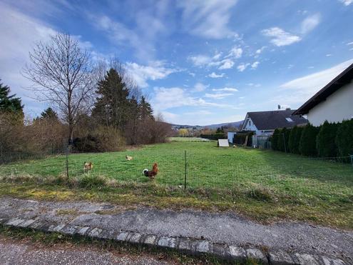 NEUER PREIS!  SCHNES BAUGRUNDSTCK IM WIENERWALD