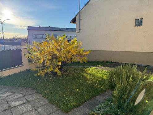 "Mini Garten sucht neue liebevolle Pfleger"