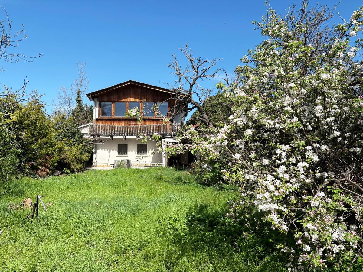 01. Grundstu?ck mit Altbestand