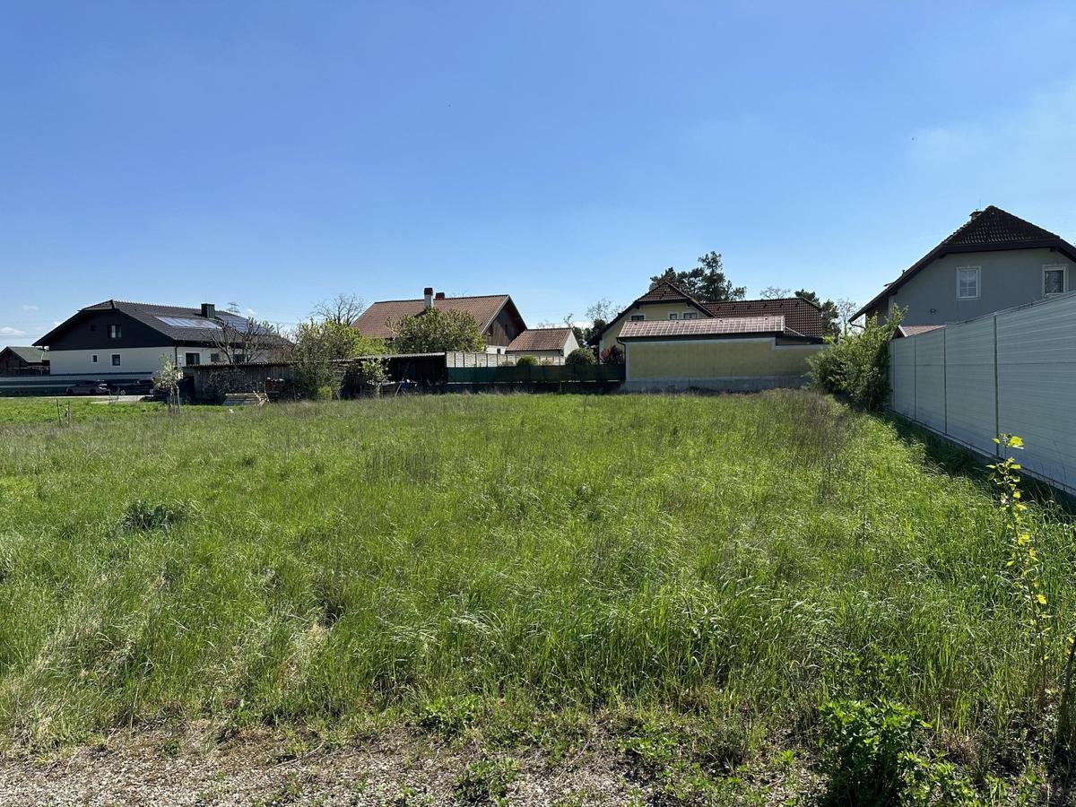 03 Baugrundstck in Drnrohr