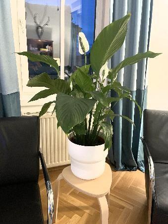 Wohnzimmer_Detail 5