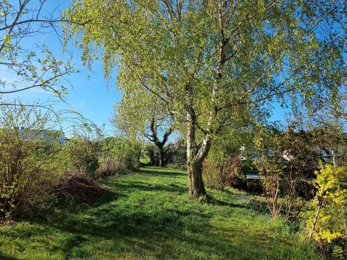EFH_2102_25_Garten