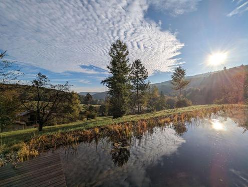 RARITÄT - IDYLLE PUR!! LANDHAUS MIT AUSBLICK IN SONNIGER RUHELAGE
