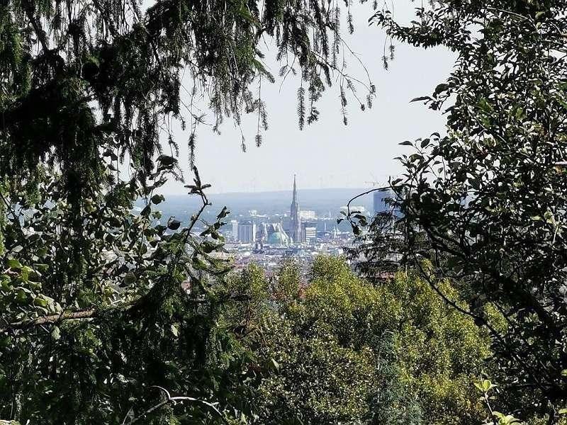 Blick  3