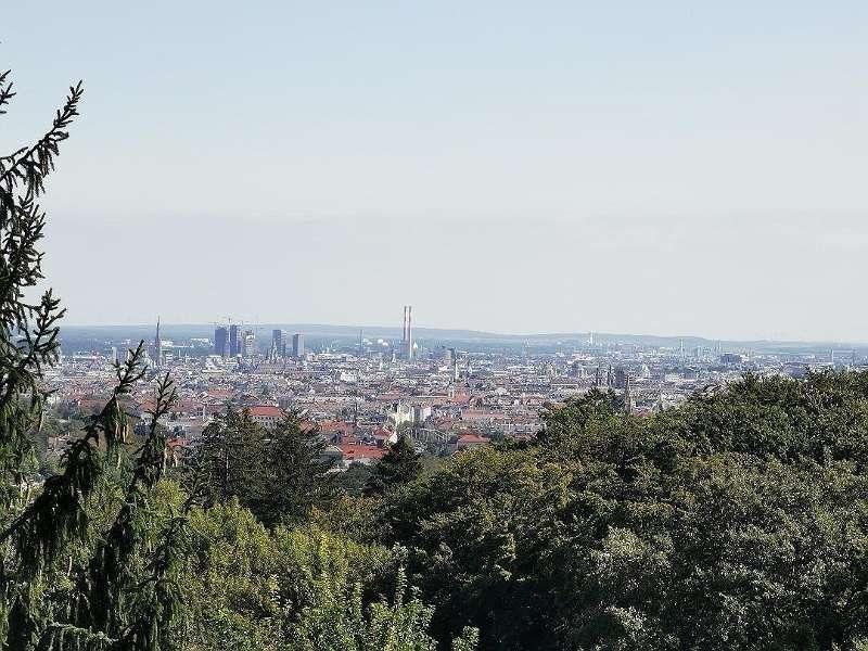Blick 1