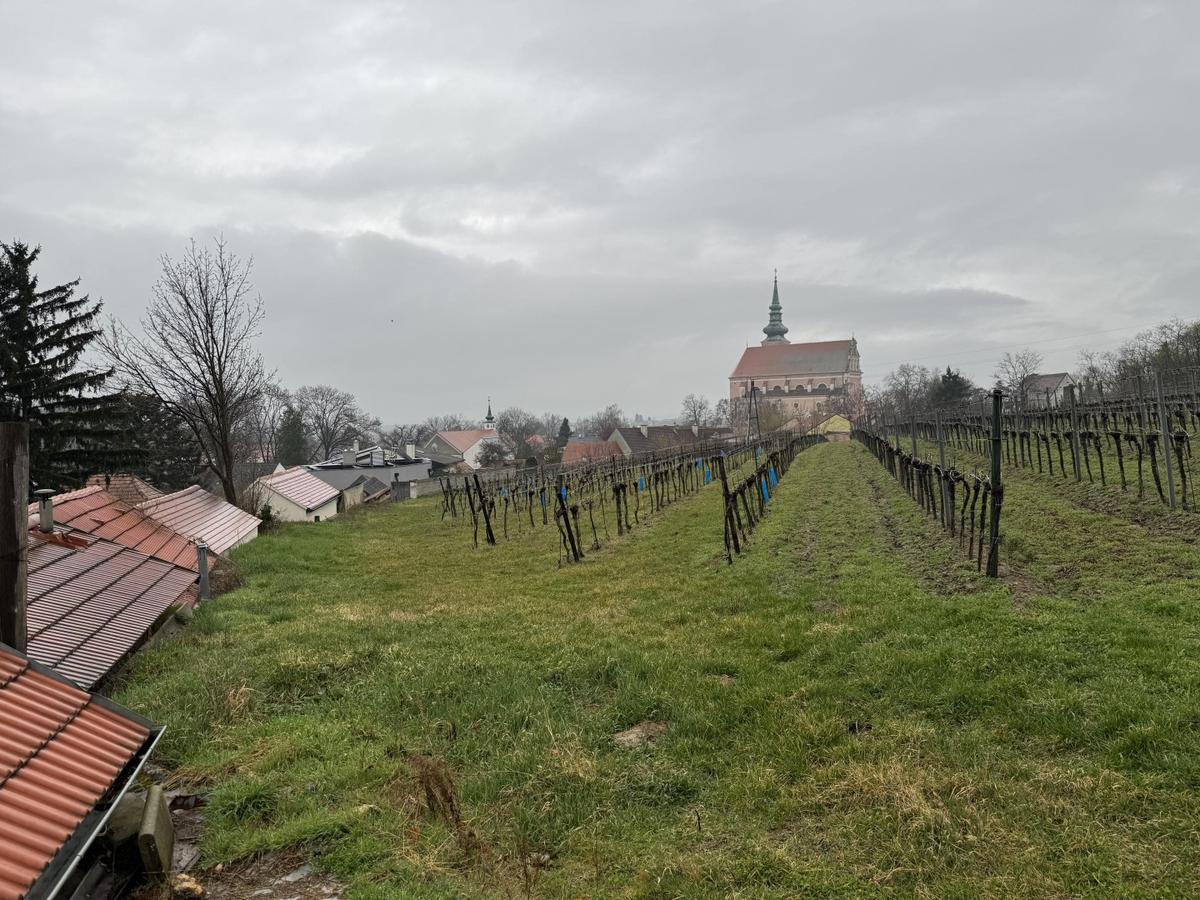 9. OG 2. Teil Ausblick