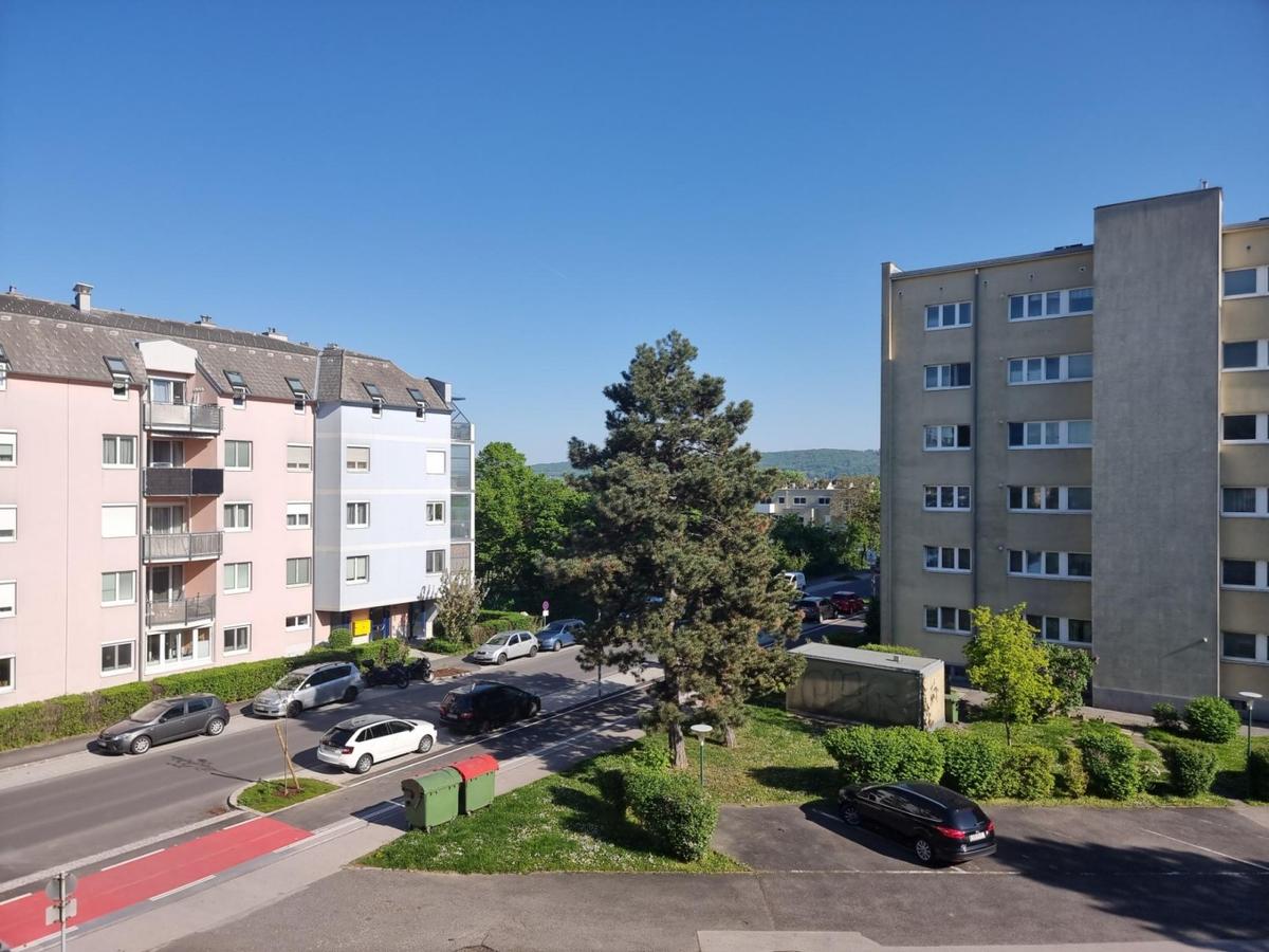 01 View