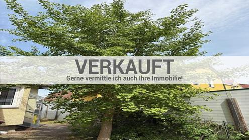 "VERKAUFT - Kraft, Vitalität und Harmonie"