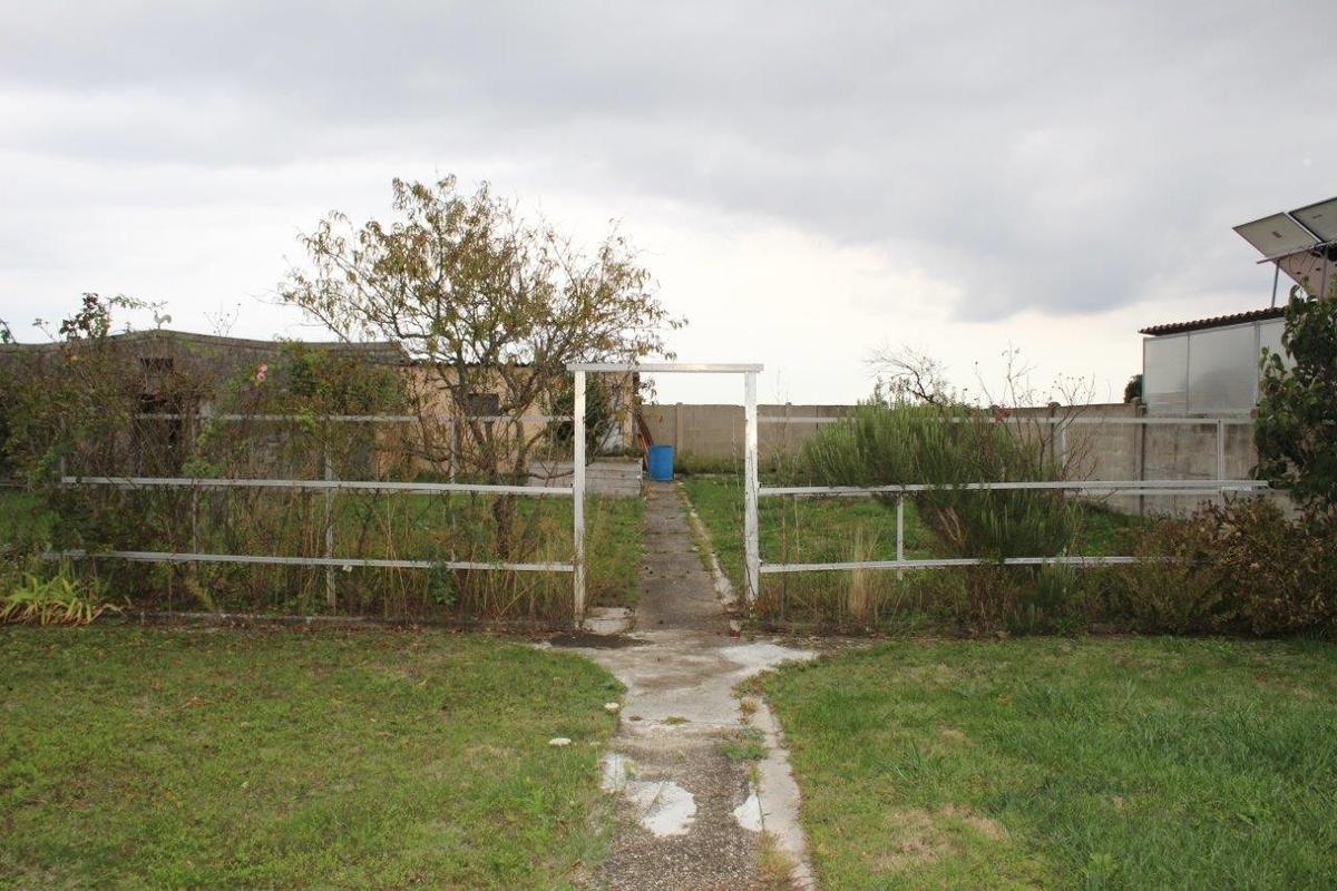 Garten_3