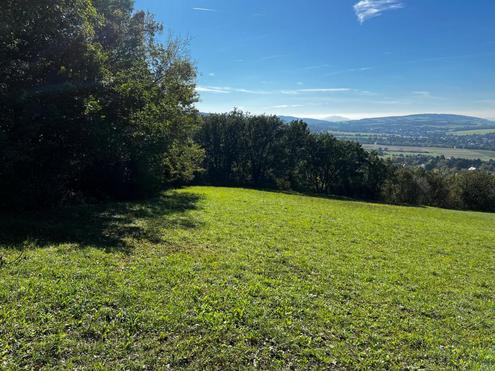 GR�NLAND IN TULBING