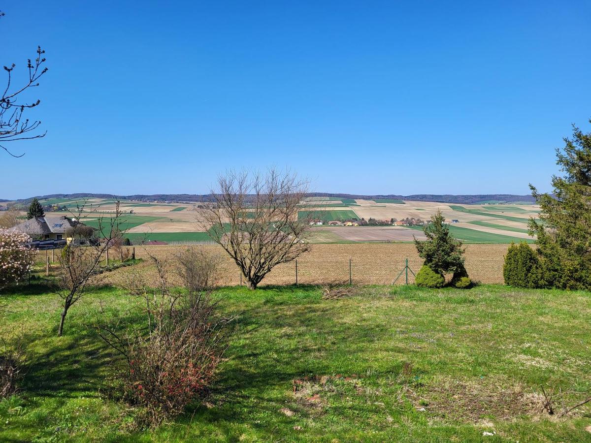 Ausblick